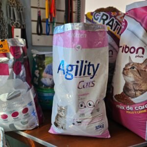 Agility gatitos