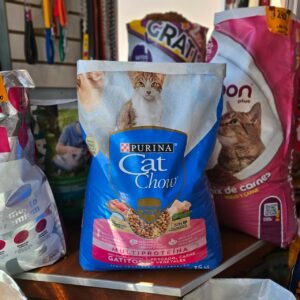 catchow gatitos
