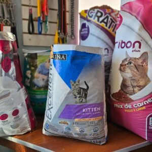 Excellent gatitos