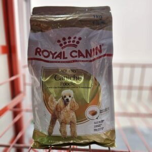 royal canin caniche adultop