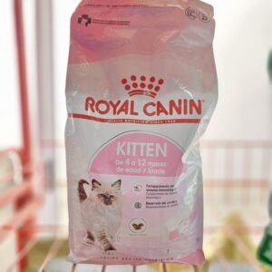 royal canin kitten