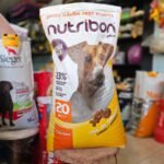 nutribon plus alimento para perro