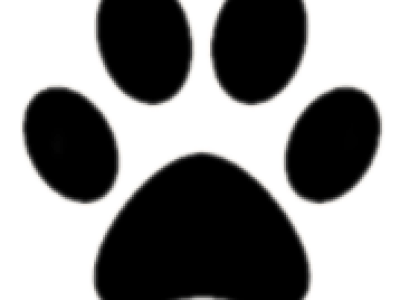 Remove-bg.ai_1733235746773